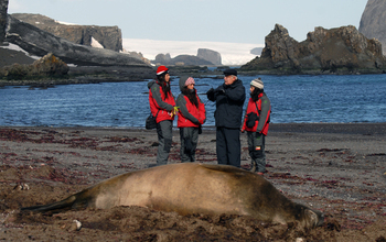 Students and a teacher pn the shore enxt to an elephant seal